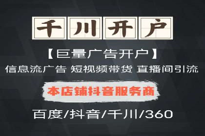 百度SEO推广策略全解析：某企业从零到一的成长历程